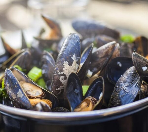 brussels,brussels airlines,brussels airport,brussels times,brussels airport departures,brussels intercommunal transport company,brussels midi,brussels airport arrivals,brussels weather,brussels walking tour,walking,tour,turism,tourist,booking,book brussels walking tour,history brussels,discover brussels,things to do in brussels,bruxelles,tours bruxelles,tourism bruxelles,beer tour,waffle tour,groups,families,family,mussels,mussels bruxelles,manneken pis,Brussels attractions,atomium,brussels tourism guide,brussels tourism office,brussels tourism,brussels attractions tripadvisor,brussels free attractions,brussels attractions atomium,ferris wheel,walking tours,bruxxelles walking tour,walking tour,tour beer,tour walking,tourism brussels,tourist brussels,brussels private tours,brussels walking tours,brussels beer tours,brussels tours by locals,brussels tours booking,brussels tours tripadvisor,brussels tours,brussels day tours,cream,taste,and quality,Brussels culinary tour,Belgian cuisine and culture,Belgian frites with mayonnaise,Flemish beef casserole,Salmon grilled to your taste,Selection of famous Belgian beers,Red or white French wine,Immersive Belgian atmosphere,Authentic cultural experience,Interact with Belgian culture,Delicious Brussels waffles,Chocolate,and strawberries,Flavoured cappuccino,Walk to the waffle tasting,Variety of flavours,Reflect on the tour,Maximise your comfort,Unique gastronomic experience,Historical backgrounds of Belgian cuisine,Expert foodie guide,Personalized attention,Private tours available,Experience Belgian habits and customs,Taste seven main courses,Cold drink to complement flavours,Royal Galleries,Brussels at night,Deliciously relaxing tour,Unfamiliar Belgian cuisine,Juggling prices